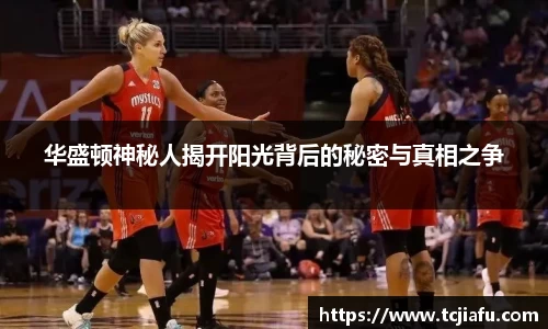 华盛顿神秘人揭开阳光背后的秘密与真相之争